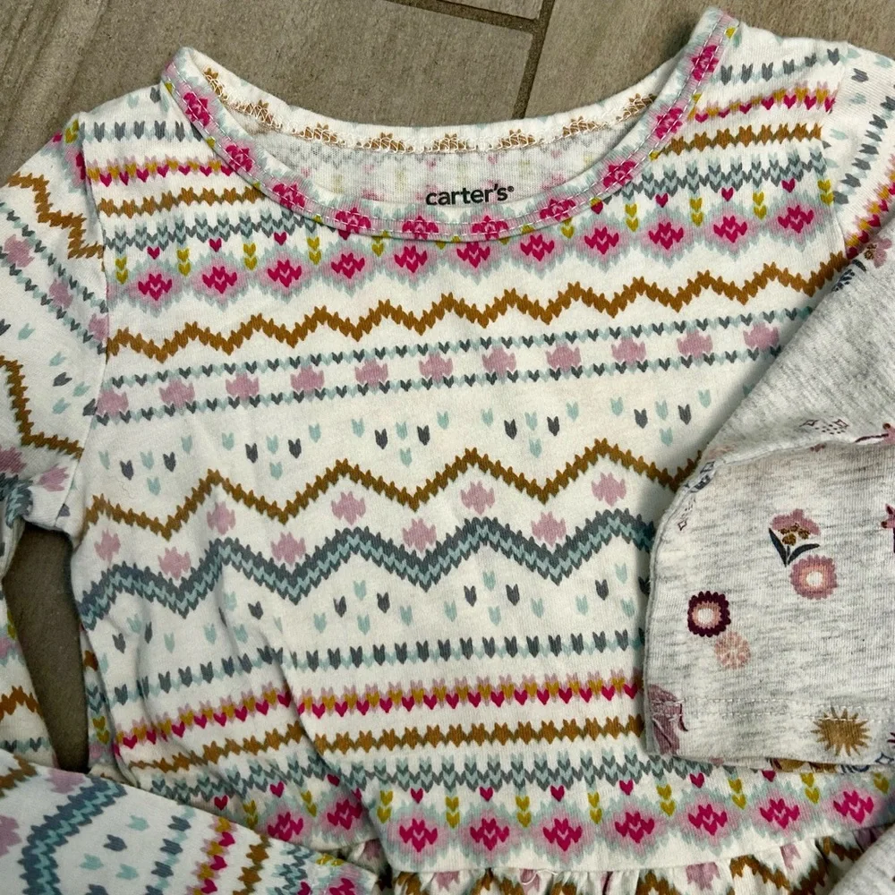 Carter's Multicolor and Gray Kids long sleeve dresses 2t bundle